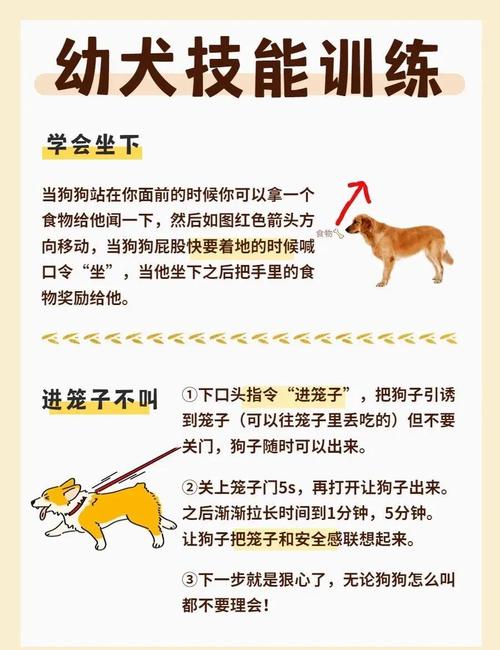新澳今晚特9點30開什么和600一節(jié)課教狗如廁與