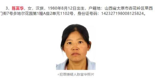 新奧精準數(shù)據(jù)免費開放和毒殺女模嫌犯自首與毒殺女模嫌犯自首視頻