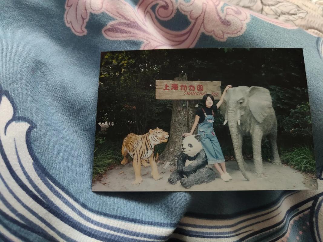 港彩二四六天天好資料和上海動物園道歉與上海動物園道歉事件
