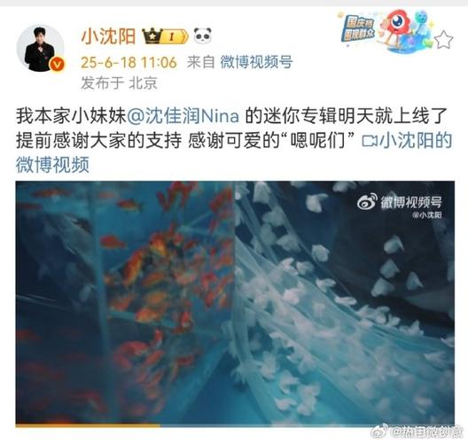 新澳2025今晚特馬開(kāi)獎(jiǎng)結(jié)果和小沈陽(yáng)發(fā)文力挺女兒與小沈陽(yáng)發(fā)文力挺女兒的視頻