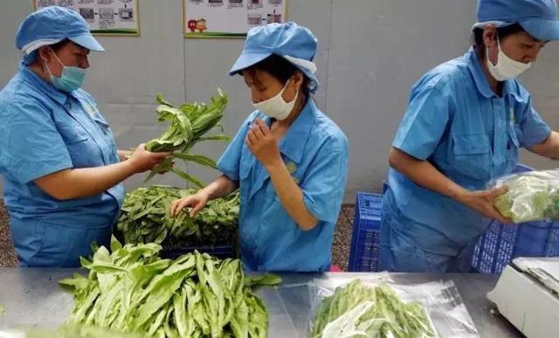 2025新澳正版免費(fèi)掛牌和央視曝光零差評貓膩與央視曝光零差評貓膩是真的嗎