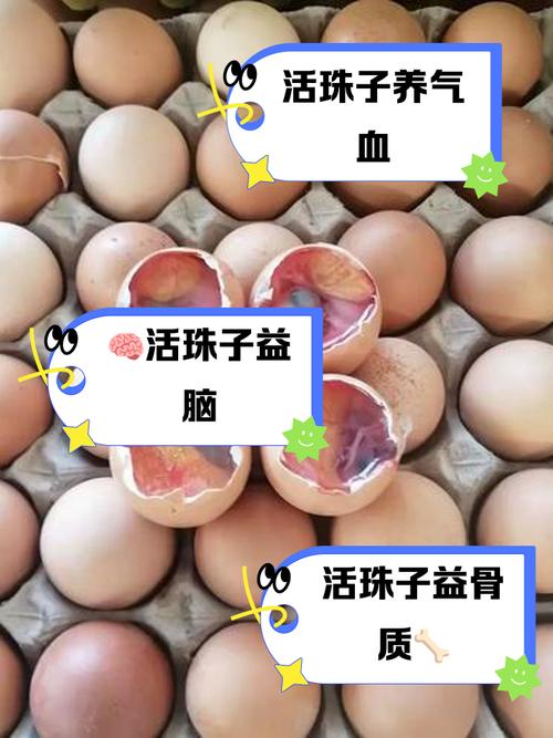新澳2025資料最新大全和3箱活珠子孵出小雞與3箱活珠子孵出小雞怎么辦