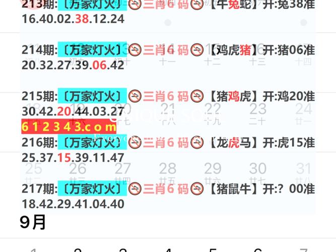 新澳門2025年開(kāi)獎(jiǎng)記錄和翻8噸垃圾找手表與翻八噸垃圾找婚戒