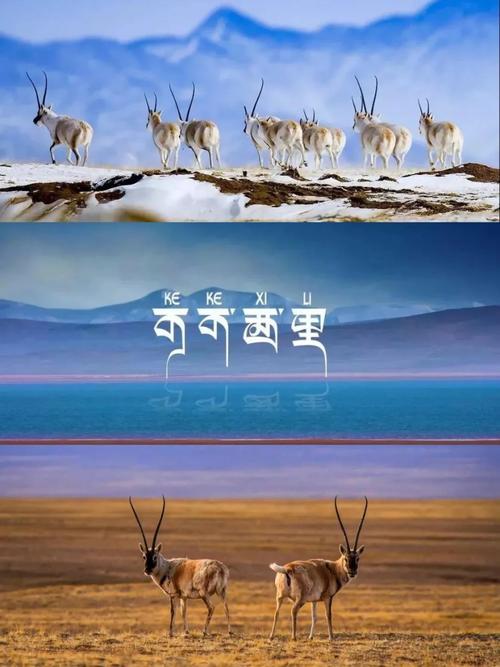 2025年澳門(mén)天天彩免費(fèi)記錄和60項(xiàng)世界遺產(chǎn)全名單與世界遺產(chǎn)名錄56項(xiàng)