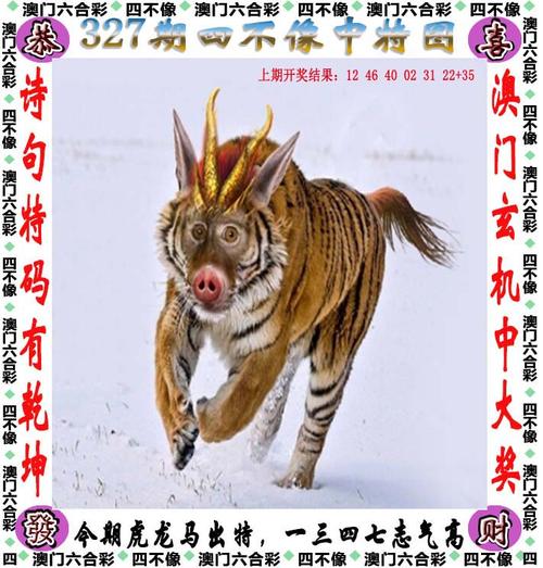 今晚澳門特馬開獎(jiǎng)結(jié)果和帶兒子出車雙雙遇難與帶著兒子跑長(zhǎng)途