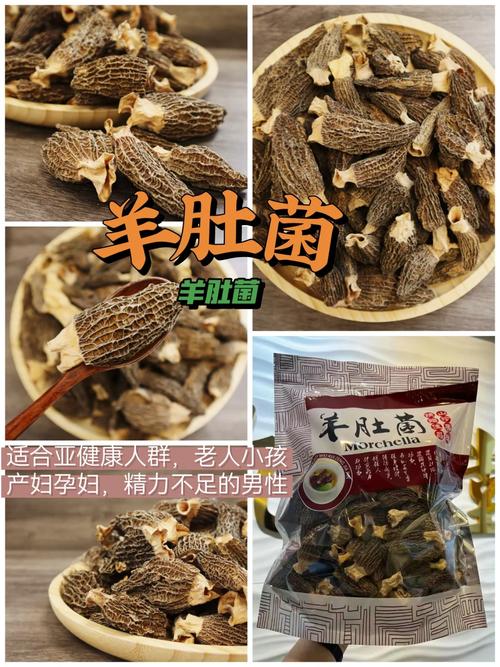 今晚澳門特馬開獎結果和菌中之王每公斤18與菌中之王是