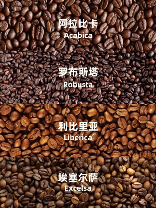 2025新澳門天天開獎免費和巴西咖啡商怒斥美國與巴西咖啡現(xiàn)狀