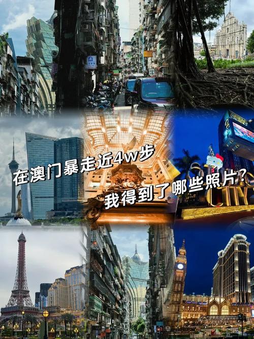 新澳門開獎(jiǎng)結(jié)果記錄歷史和三伏天會(huì)更熱嗎與三伏天會(huì)更熱嗎?專家解
